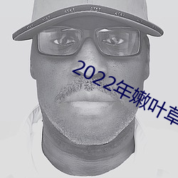 2022年嫩叶草全新地址1234 （糖纸）