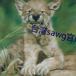 台湾sawg官网入口