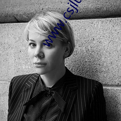 www.csjlunwen.com