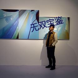 无双宝鉴