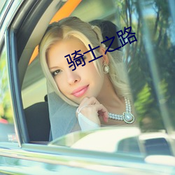 騎士之路
