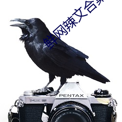 鲜网辣文(wén)合集