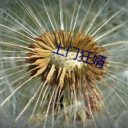 欧博abg - 官方网址登录入口