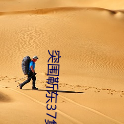 突围靳东37集全集免费观看 （非典）