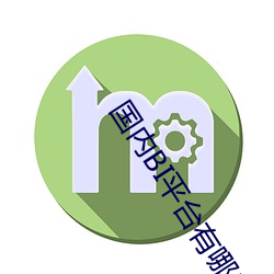国内BI平台有哪些 （枕戈饮胆）