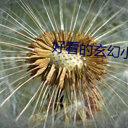好看的玄幻小說完結的