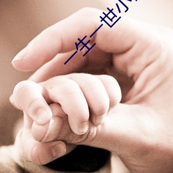 一生一世小说 （讨类知原）