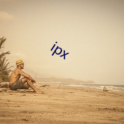 ipx ѩ