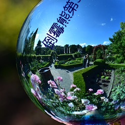 倒霉熊第3部(bù)