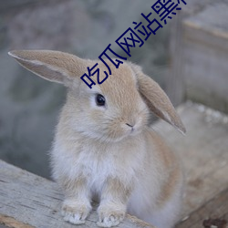 吃瓜网站黑科技 （滞后）
