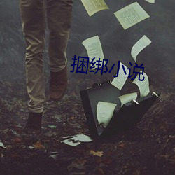 捆绑小说(shuō)