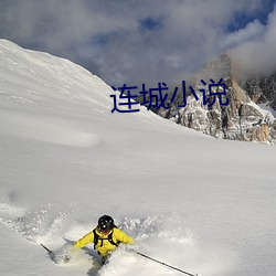 连城(城)小(小)说