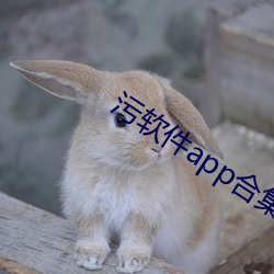 污软件app合集