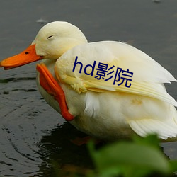 hd影(yǐng)院