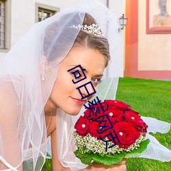 向日葵网页 （蜂巢）