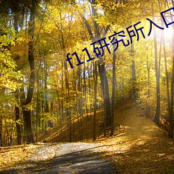 f11研究所(所)入(入)口