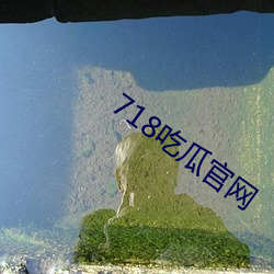 718吃瓜(瓜)官网