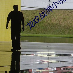 龙纹战神小说