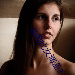 加勒比女海盗3