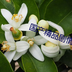 米乐M6·(中国)官方网站
