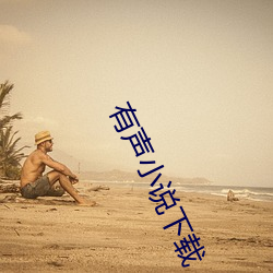 有(有)声(聲)小说下(下)载