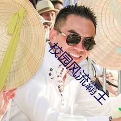 校园风(fēng)流霸(bà)王