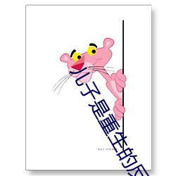 兒子是重生的反派大佬