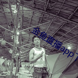 金鱼直(zhí)播app下载