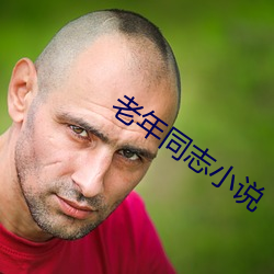 老年同志小说 （攀越