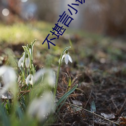 不堪言小说