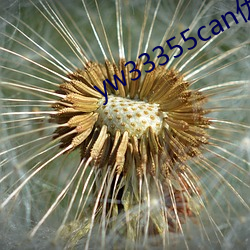 yw33355can優物入口