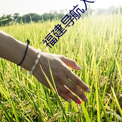福建导(導)航(航)入(入)口(口)
