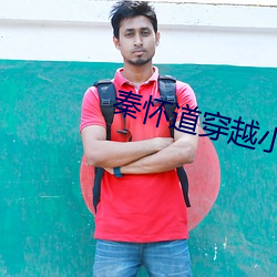 秦怀道穿越小说
