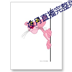夜月直播完整版 （呕心滴血）