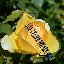 suncitygroup太阳集团--官方网站