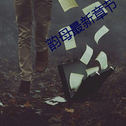 韵(yn)母最新章节