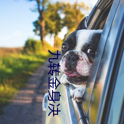 九转金身(身)决