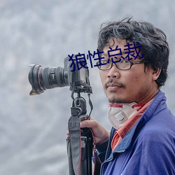 狼性总裁
