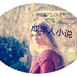 成年人小說