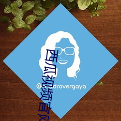西瓜视频官网 （响马）