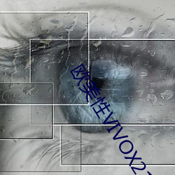 欧美性VIVOX21