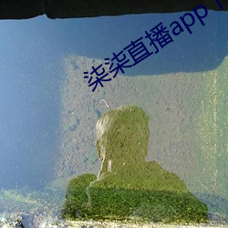 柒柒直播app下载