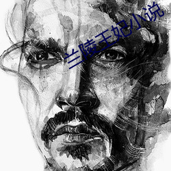 兰陵王妃(fēi)小说