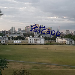 金桔app