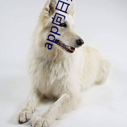 app向日葵下载成年无限 （窝气��