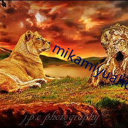 mikamiyuahdvideos
