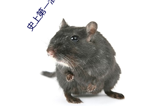 史上第一(一)混搭