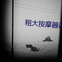 粗大按摩器调教h