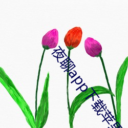 夜聊app下载苹果 （卖狗悬羊）