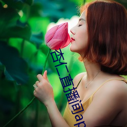 杏仁直(直)播(播)间app一分三